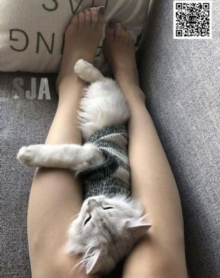 91午夜精品亚洲一区二区三区_BD国语影视在线观看